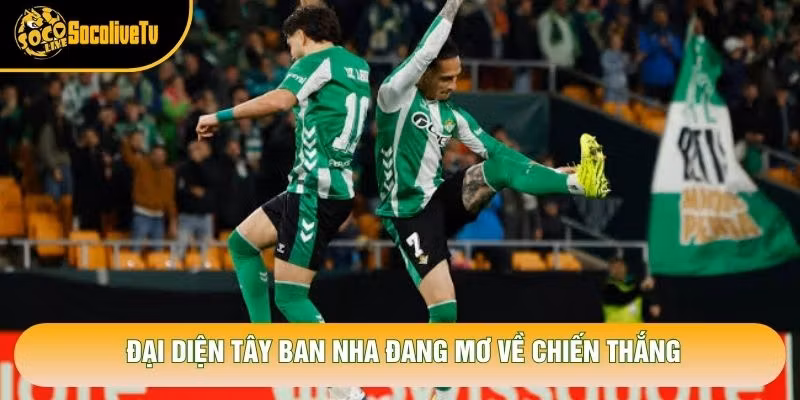 Đại diện Tây Ban Nha đang mơ về chiến thắng