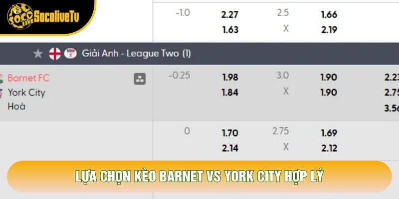 Lựa chọn kèo Barnet vs York City hợp lý