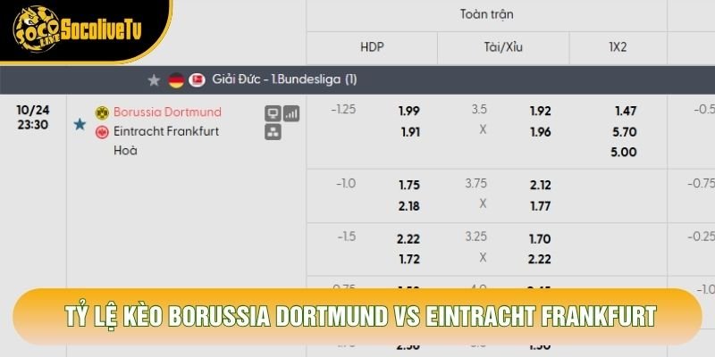 Tỷ lệ kèo Borussia Dortmund vs Eintracht Frankfurt Tỷ lệ kèo Borussia Dortmund vs Eintracht Frankfurt