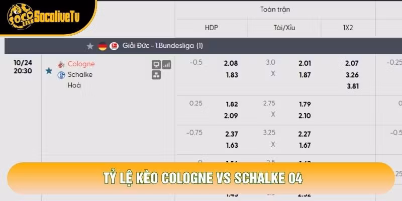 Tỷ lệ kèo Cologne vs Schalke 04
