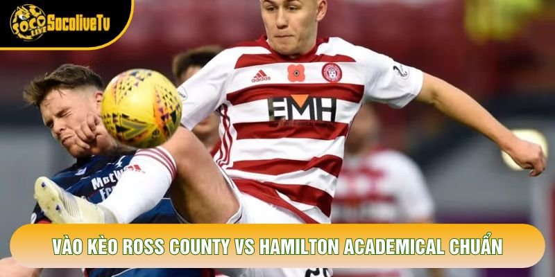 Vào kèo Ross County vs Hamilton Academical chuẩn Vào kèo Ross County vs Hamilton Academical chuẩn